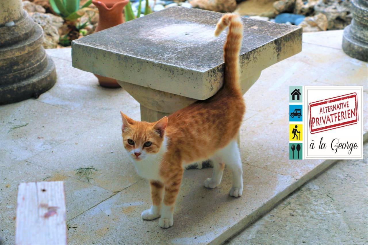 Isminis Petroktisto Holidays Stonehouse Palechori エクステリア 写真
